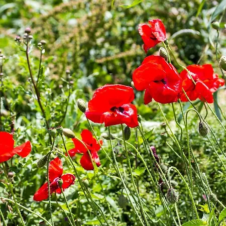 Haus Salzburgerland Mauterndorf (Salzburg)