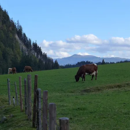 Haus Salzburgerland Apartamento *