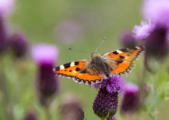 아파트 Haus Salzburgerland *