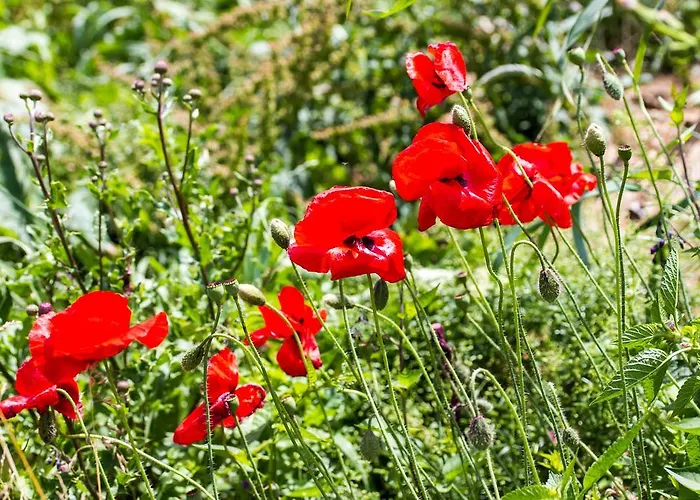 Haus Salzburgerland 마우어테른도르프