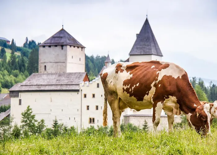 Haus Salzburgerland 마우어테른도르프